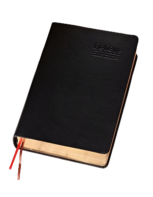 Dickes Ledernotizbuch